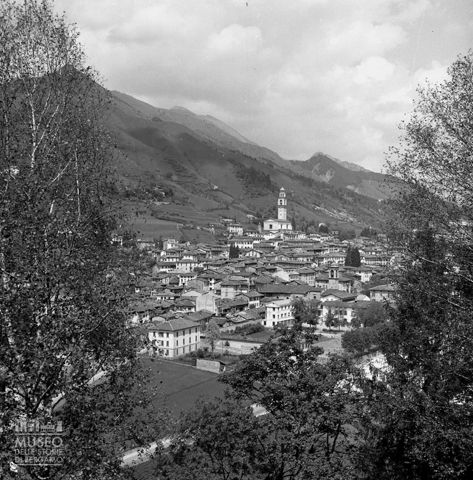 Veduta fra gli alberi