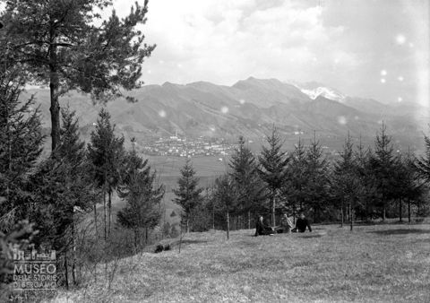 Ragazze in una pineta