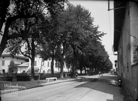 Viale alberato