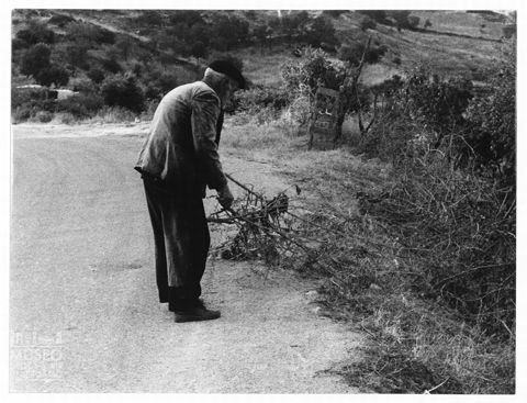 Uomo che divide dei rami