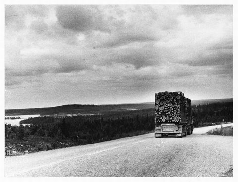 Camion per il trasporto di legname