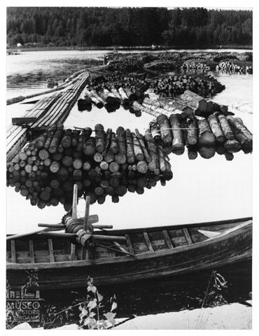 Tronchi galleggianti