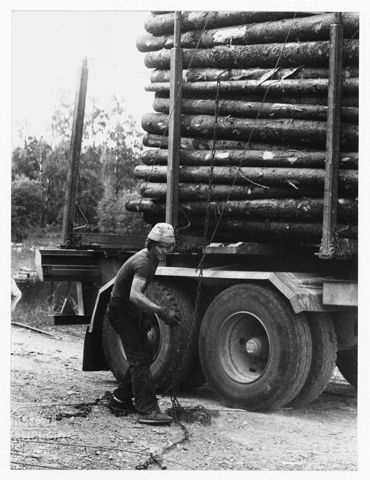 Uomo presso un camion carico di legna