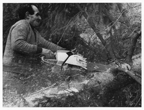 Legnaiolo con motosega