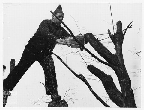 Uomo intento alla potatura