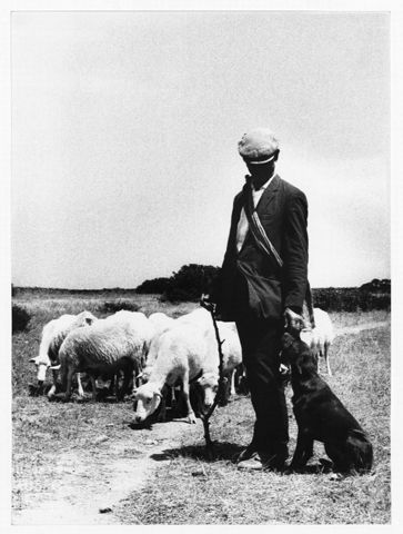 Pastore sardo con cane