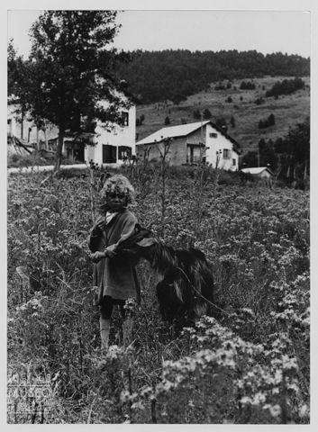 Bambino e capra nei prati