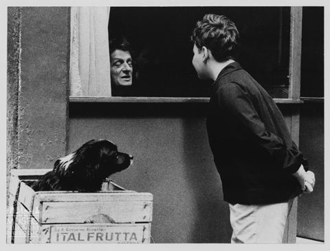 Giacomo osserva una vetrina