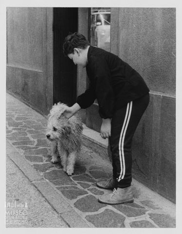 Giacomo accarezza un cane