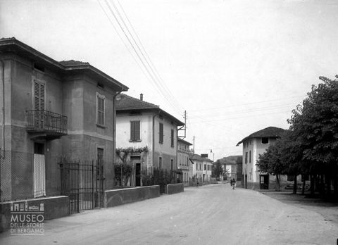Strada con alberi