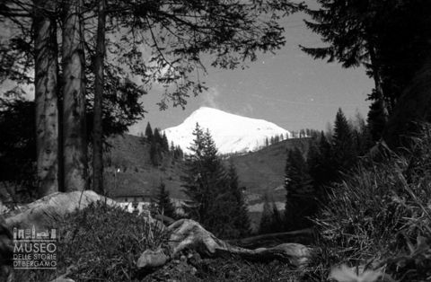Foppolo, veduta di un monte attraverso degli alberi
