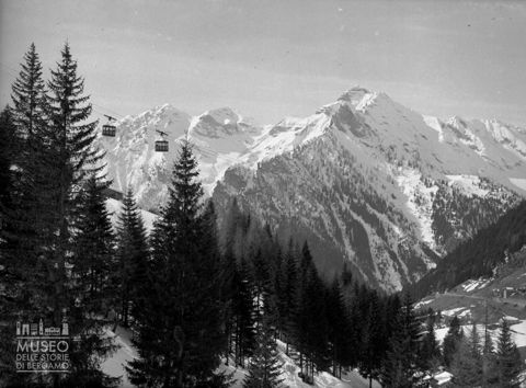 Bosco e funivia