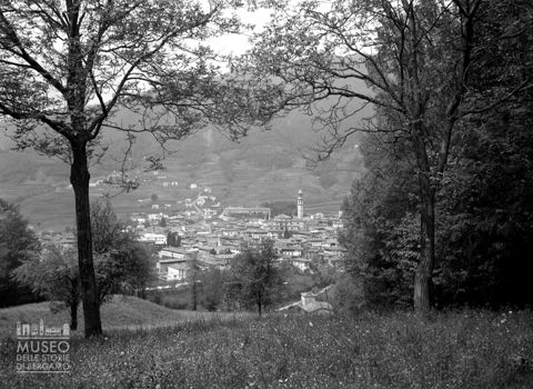 Panorama dal bosco