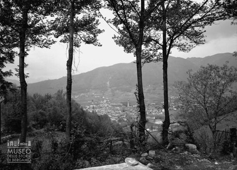 Panorama dal bosco