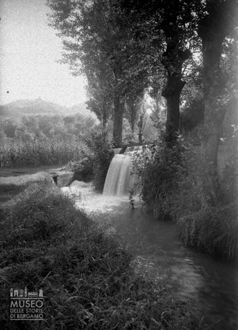 Cascatella tra gli alberi