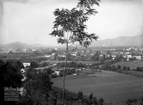 Panorama con albero