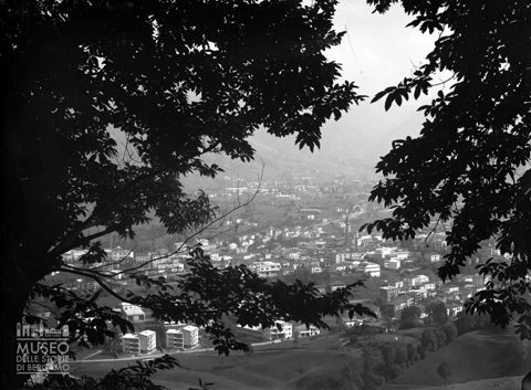 Panorama tra gli alberi