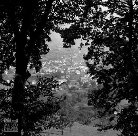 Veduta tra gli alberi