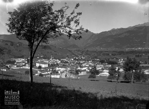 Panorama con albero [1]