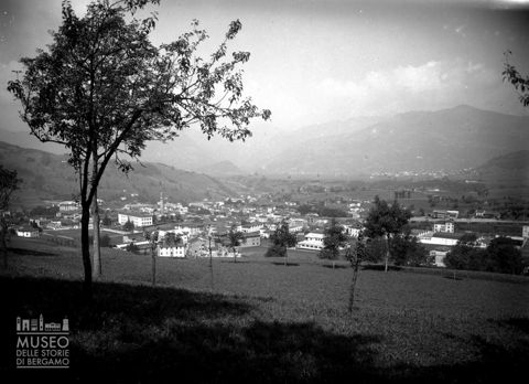 Panorama con albero [2]
