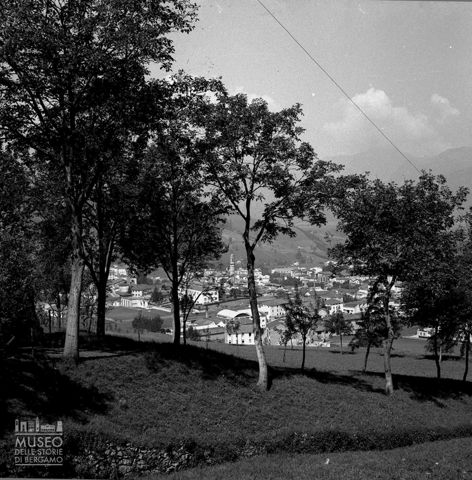 Panorama tra gli alberi
