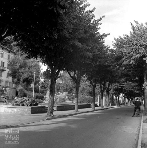Viale alberato