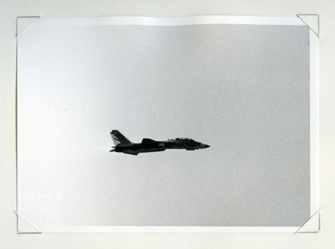 Grumman F 14 Tomcat - Caccia navale da superiorità aerea