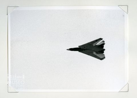 Grumman F 14 Tomcat - Caccia navale da superiorità aerea