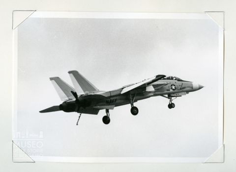 Grumman F 14 Tomcat - Caccia navale da superiorità aerea