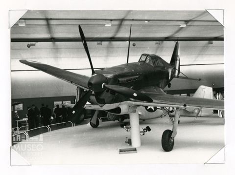 MS 406 - caccia