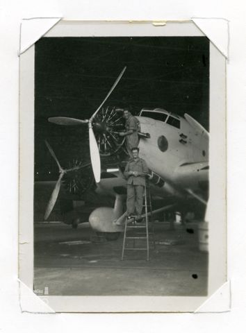 SM 81 - trimotore bomb.