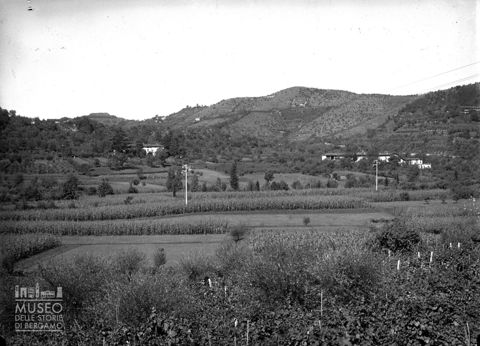 Campi e colline [1]