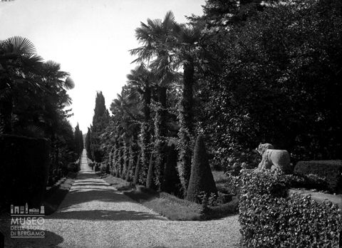 Viale di un parco
