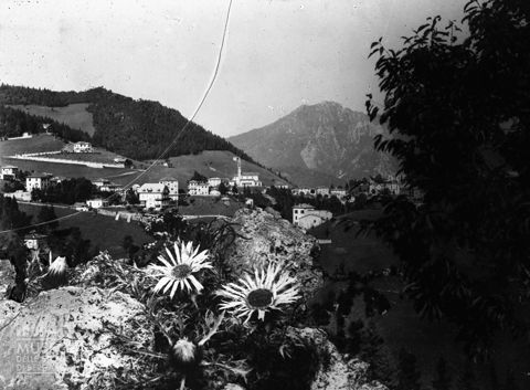Panorama elaborato
