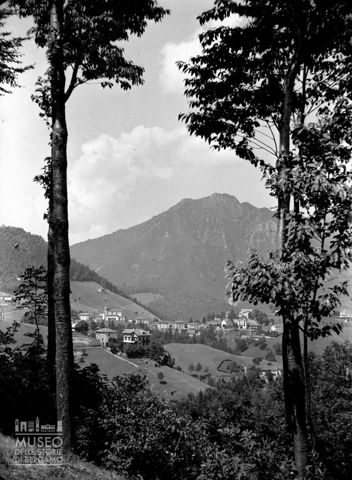 Panorama con alberi