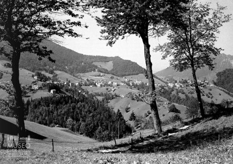 Veduta di Oltre il Colle con alberi