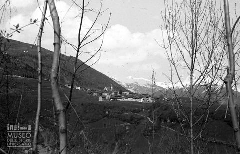 Panorama tra gli alberi