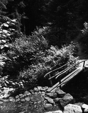 Piccolo ponte nel bosco