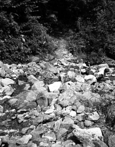 Letto di un torrente