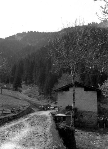 Strada per il cimitero con passanti