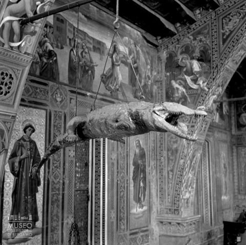 Coccodrillo nel Santuario [2]