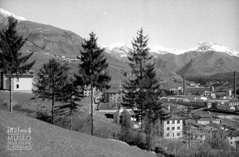 Panorama con alberi e stabilimento
