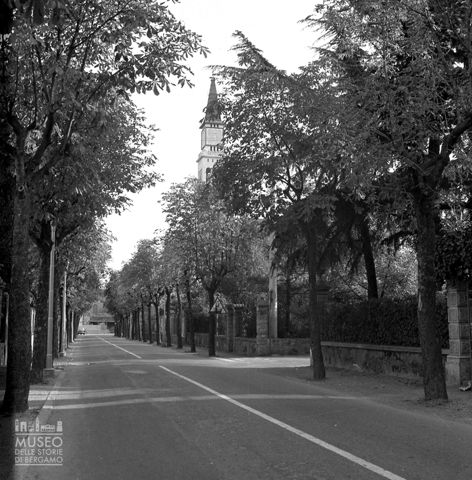 Viale alberato