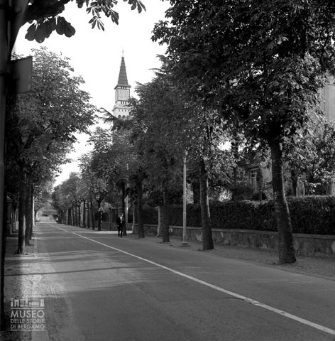 Viale alberato