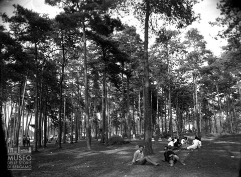 Persone in una pineta [1]