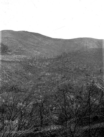 Panorama sui colli