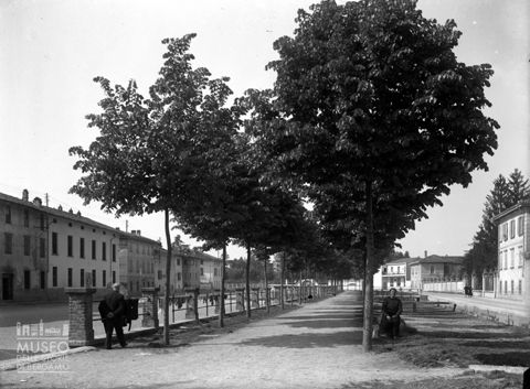 Viale alberato