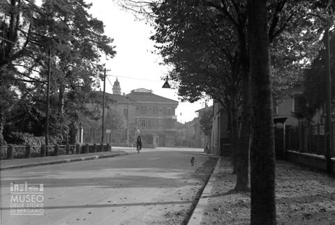 Strada alberata con passante