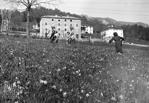 Ragazze in un prato