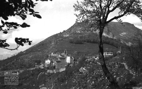 Panorama con alberi e monte